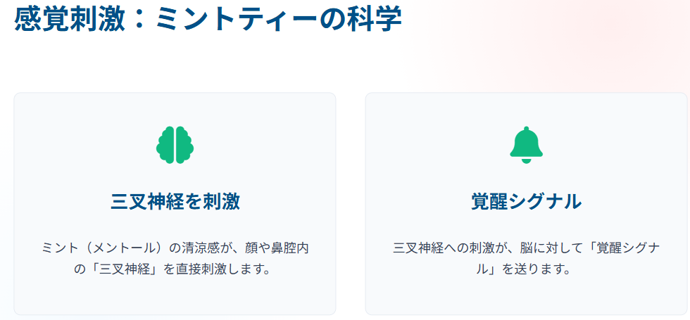 夜でも安心なノンカフェイン飲料 感覚刺激:ミントティー(ハーブティー)