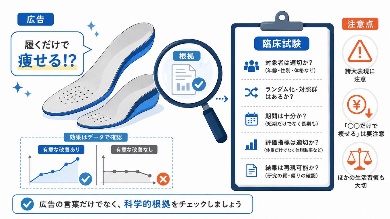ピットソールは嘘?痩せるという広告の根拠と臨床試験の注意点2