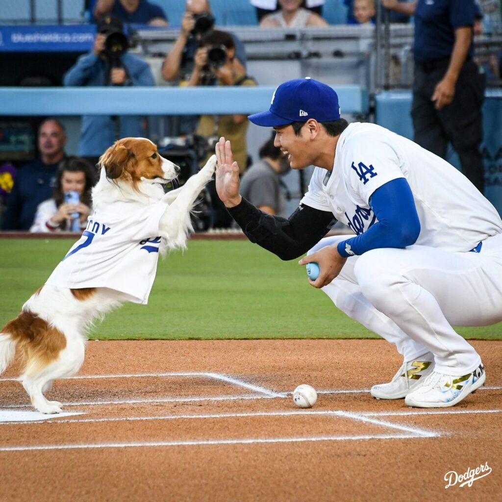 デコピンのおやつポーチ【特定】大谷翔平が始球式で使用