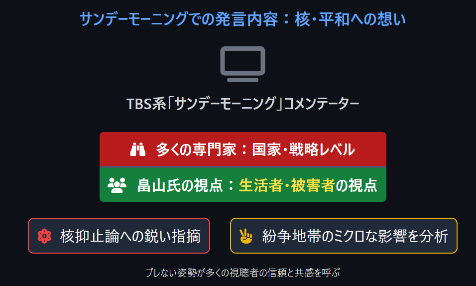 畠山澄子 サンデーモーニングでの発言内容は?核や平和への想い