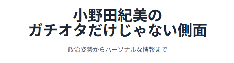小野田紀美のガチオタだけじゃない側面