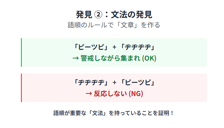 鈴木俊貴 シジュウカラ研究の発見