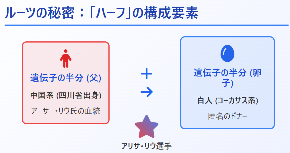 アリサリウはハーフ？人種やかわいいルーツを調査