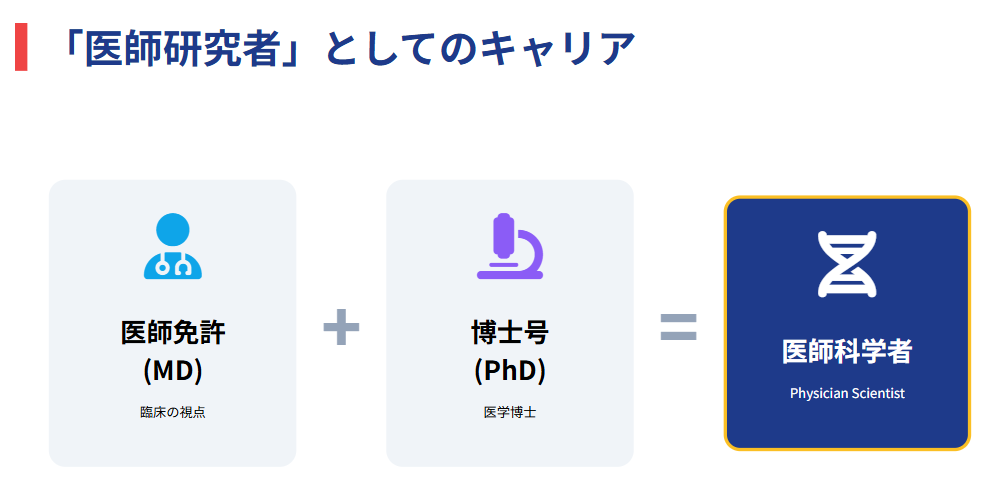 筑波大学教授 柳沢裕美氏の専門分野