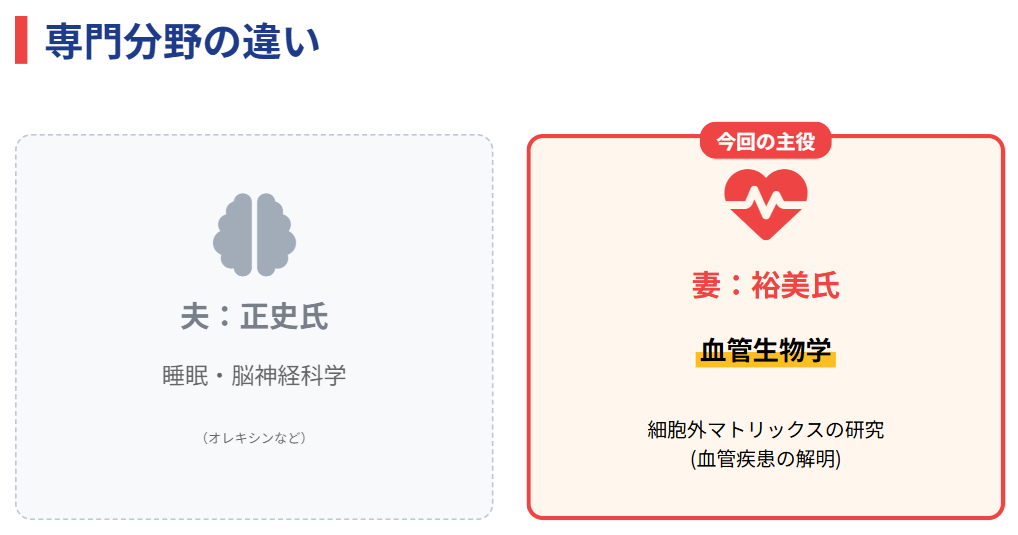 筑波大学教授 柳沢裕美氏の専門分野