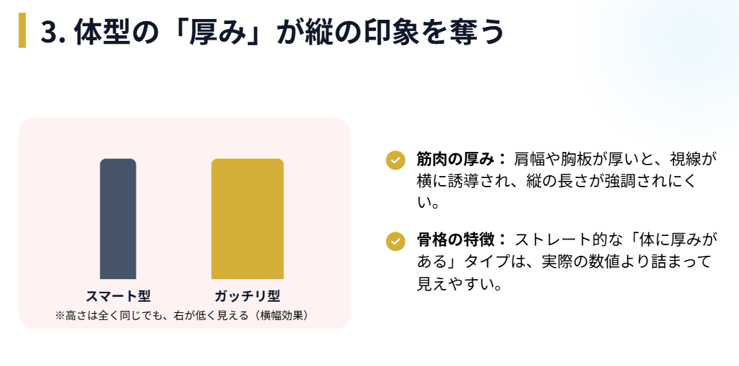 吉沢亮 骨格や筋肉の厚みが与える背が低い印象