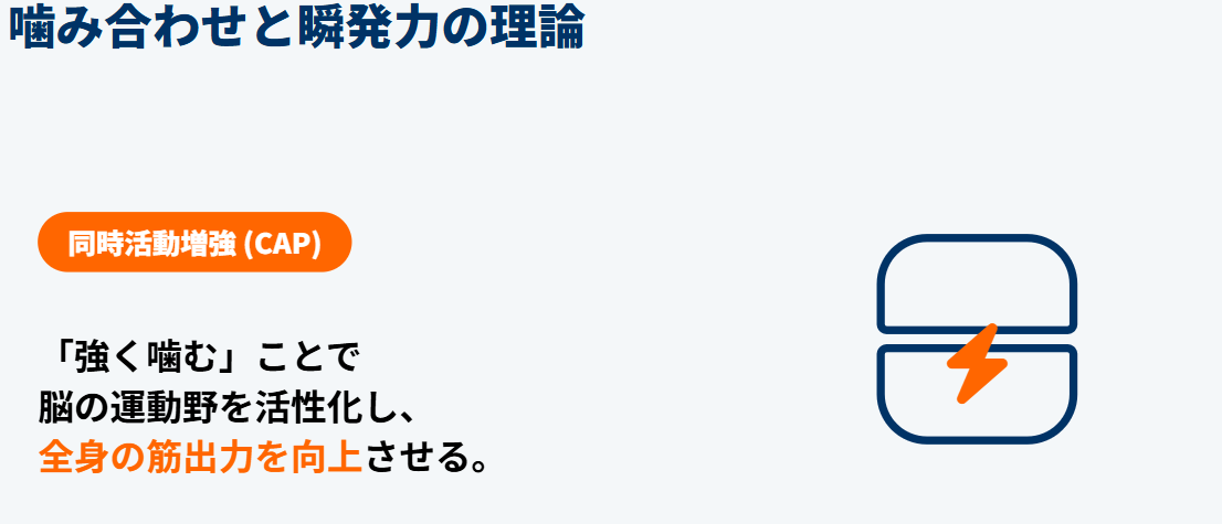 スキージャンプ　噛み合わせが踏み切りの瞬発力に及ぶ説