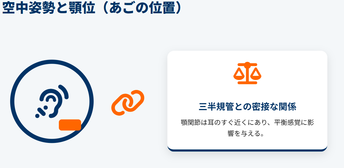 スキージャンプ　空中姿勢のバランスと顎位の関連性
