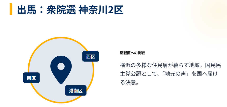 片山智絵 衆院選神奈川2区からの出馬情報