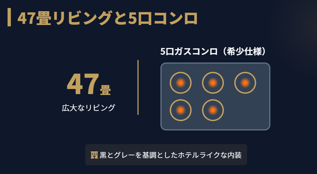 板野友美　自宅　47畳のリビングと5口コンロのキッチン