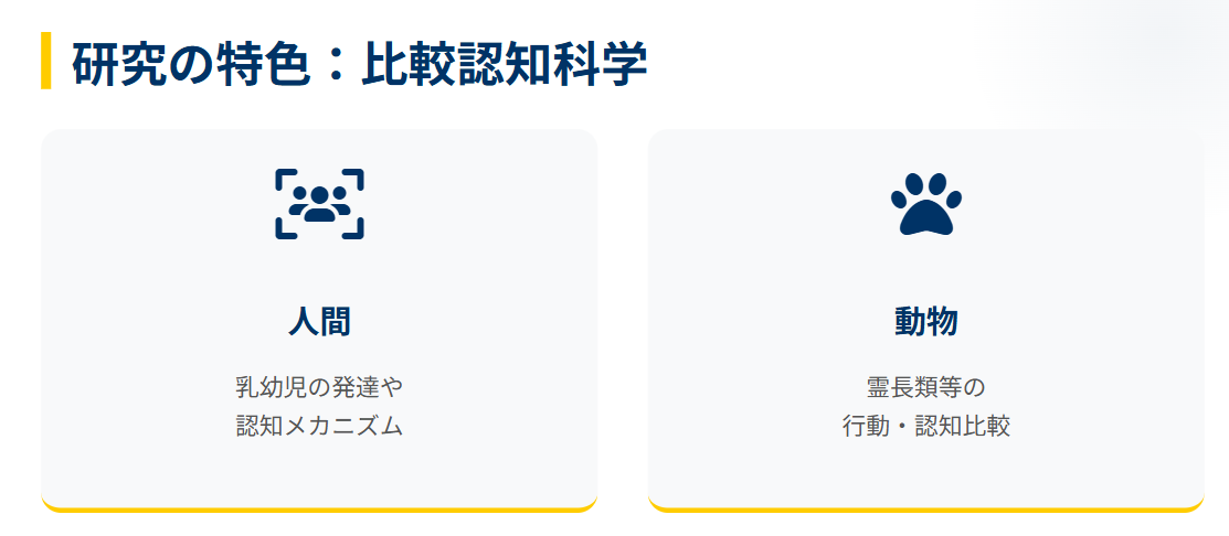 久保南海子 現在の活動や研究拠点2