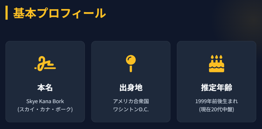 ボークスカイのwiki 本名や推測される年齢について