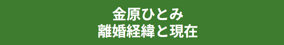 金原ひとみ 元夫との離婚経緯と現在