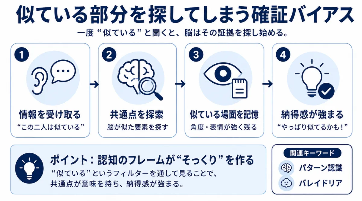 舘ひろし　木村多江　似ている部分を探してしまう確証バイアス