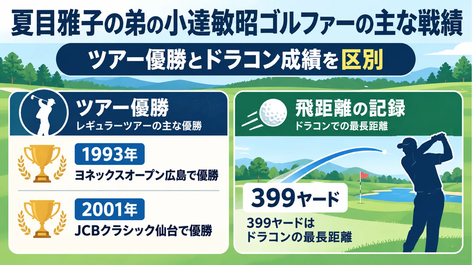 1993年と2001年のツアー優勝とドラコンの最長399ヤードを区別する図
